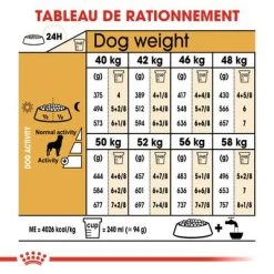 Royal Canin Rottweiler Adult Pour Chien -Pet Care Soldes rc bhn rottweiler cv eretailkit 5 fr fr 8