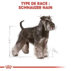 Royal Canin Schnauzer Nain Adult Pour Chien 14 Royal Canin Schnauzer Nain Adult Pour Chien -Pet Care Soldes rc bhn schnauzer cv eretailkit 1 fr fr 5