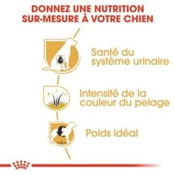 Royal Canin Schnauzer Nain Adult Pour Chien 13 Royal Canin Schnauzer Nain Adult Pour Chien -Pet Care Soldes rc bhn schnauzer cv eretailkit 3 fr fr 0