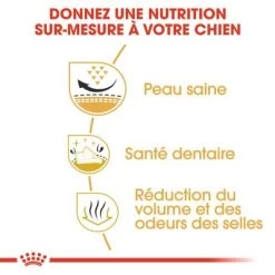 Royal Canin Shih Tzu Adult Pour Chien -Pet Care Soldes rc bhn shihtzu cv eretailkit 3 fr fr 6