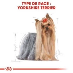 Royal Canin Yorkshire Terrier Adult Pour Chien -Pet Care Soldes rc bhn yorkshire cv eretailkit 1 fr fr 0