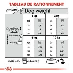 Royal Canin Mini Dental Care Pour Chien -Pet Care Soldes rc ccn dentalmini cv eretailkit 5 fr fr 9