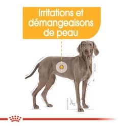 Royal Canin Maxi Dermacomfort Pour Chien -Pet Care Soldes rc ccn dermamax cv eretailkit 2 fr fr 3