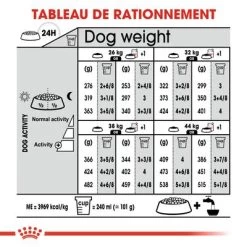 Royal Canin Maxi Dermacomfort Pour Chien -Pet Care Soldes rc ccn dermamax cv eretailkit 7 fr fr 9
