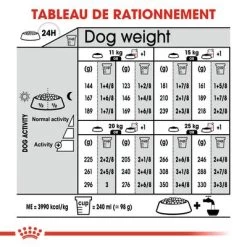 Royal Canin Medium Digestive Care Pour Chien 18 Royal Canin Medium Digestive Care Pour Chien -Pet Care Soldes rc ccn digestivemedium cv eretailkit 7 fr fr 5