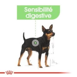 Royal Canin Mini Digestive Care Pour Chien -Pet Care Soldes rc ccn digestivemini cv eretailkit 2 fr fr 2