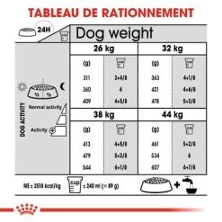 Royal Canin Maxi Joint Care Pour Chien -Pet Care Soldes rc ccn jointcaremaxi cv eretailkit 6 fr fr 5
