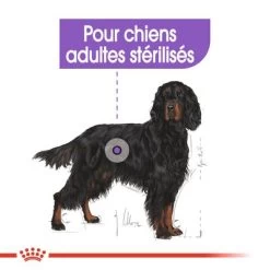 Royal Canin Maxi Sterilised Pour Chien -Pet Care Soldes rc ccn sterilisedmaxi cv eretailkit 2 fr fr 9