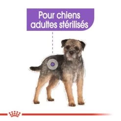 Royal Canin Mini Sterilised Pour Chien -Pet Care Soldes rc ccn sterilisedmini cv eretailkit 2 fr fr 9