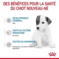 Lait Royal Canin Babydog Milk Pour Chiot -Pet Care Soldes rc chn babydogmilk 2kg cv 4 fr fr 5