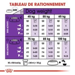 Royal Canin Giant Adult Pour Chien -Pet Care Soldes rc shn adultgiant cv eretailkit 4 fr fr 8
