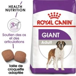 Royal Canin Giant Adult Pour Chien