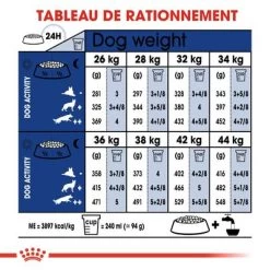 Royal Canin Maxi Adult 5+ Pour Chien 13 Royal Canin Maxi Adult 5+ Pour Chien -Pet Care Soldes rc shn adultmaxi5 cv eretailkit 4 fr fr 4