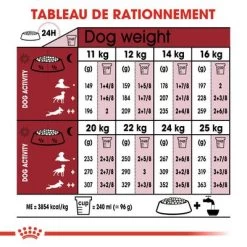 Royal Canin Medium Adult 7+ Pour Chien -Pet Care Soldes rc shn adultmedium7 cv eretailkit 4 fr fr 2
