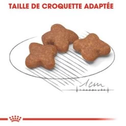 Royal Canin Mini Adult +8 Pour Chien -Pet Care Soldes rc shn adultmini8 cv eretailkit 3 fr fr 0