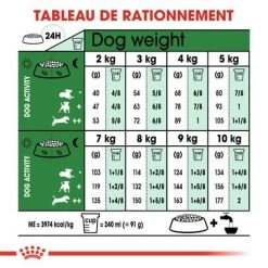 Royal Canin Mini Adult +8 Pour Chien -Pet Care Soldes rc shn adultmini8 cv eretailkit 4 fr fr 7