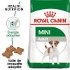 Royal Canin Mini Adult Pour Chien 2 Royal Canin Mini Adult Pour Chien -Pet Care Soldes rc shn adultminibeef mv eretailkit fr fr 8