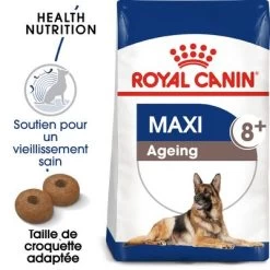 Royal Canin Maxi Ageing 8+ Pour Chien