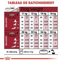 Royal Canin Medium Ageing 10+ Pour Chien -Pet Care Soldes rc shn ageingmedium10 cv eretailkit 4 fr fr 3
