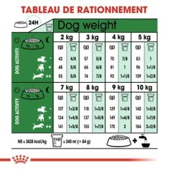 Royal Canin Mini Ageing 12+ Pour Chien -Pet Care Soldes rc shn ageingmini12 cv eretailkit 4 fr fr 7