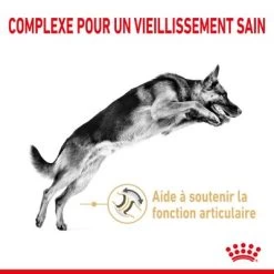 Royal Canin Berger Allemand Adult 5+ Pour Chien -Pet Care Soldes rc spt dry germshep5 cv 1 fr fr 4