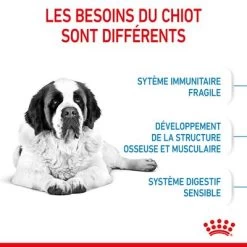 Royal Canin Giant Junior Pour Chiot 16 Royal Canin Giant Junior Pour Chiot -Pet Care Soldes rc spt dry giantjunior cv 2 fr fr 0
