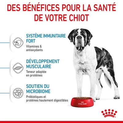 Royal Canin Giant Junior Pour Chiot 6 Royal Canin Giant Junior Pour Chiot – Image 4