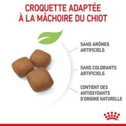 Royal Canin Giant Junior Pour Chiot 17 Royal Canin Giant Junior Pour Chiot -Pet Care Soldes rc spt dry giantjunior cv 4 fr fr 3