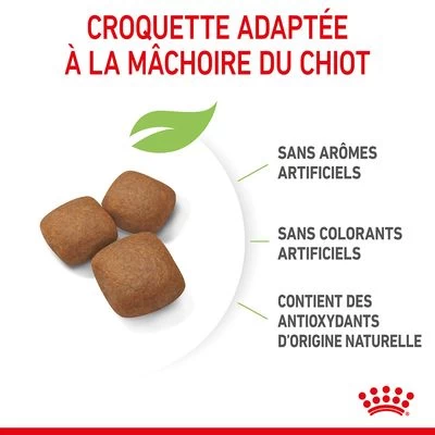 Royal Canin Giant Junior Pour Chiot 8 Royal Canin Giant Junior Pour Chiot – Image 6
