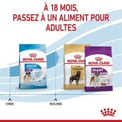Royal Canin Giant Junior Pour Chiot 21 Royal Canin Giant Junior Pour Chiot -Pet Care Soldes rc spt dry giantjunior cv 5 fr fr 7