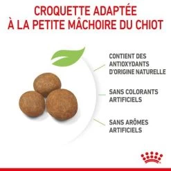 Royal Canin Giant Puppy Pour Chiot -Pet Care Soldes rc spt dry giantpuppy cv 4 fr fr 0