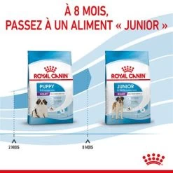 Royal Canin Giant Puppy Pour Chiot -Pet Care Soldes rc spt dry giantpuppy cv 5 fr fr 8