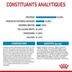 Royal Canin Giant Puppy Pour Chiot -Pet Care Soldes rc spt dry giantpuppy cv 6 fr fr 6