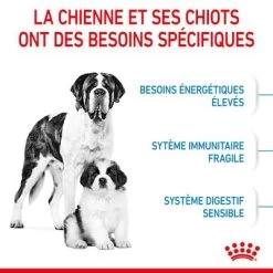 Royal Canin Giant Starter Mother & Babydog Pour Chiot -Pet Care Soldes rc spt dry giantstart cv 2 fr fr 0