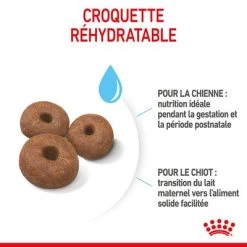 Royal Canin Giant Starter Mother & Babydog Pour Chiot -Pet Care Soldes rc spt dry giantstart cv 4 fr fr 9