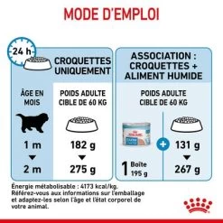Royal Canin Giant Starter Mother & Babydog Pour Chiot -Pet Care Soldes rc spt dry giantstart cv 7 fr fr 6