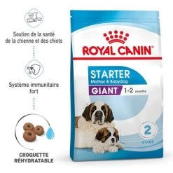 Royal Canin Giant Starter Mother & Babydog Pour Chiot -Pet Care Soldes rc spt dry giantstart mv 1 fr fr 4