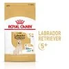 Royal Canin Labrador Retriever Adult 5+ Pour Chien