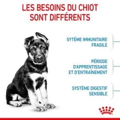 Royal Canin Maxi Puppy Pour Chiot -Pet Care Soldes rc spt dry maxipuppy cv 2 fr fr 8