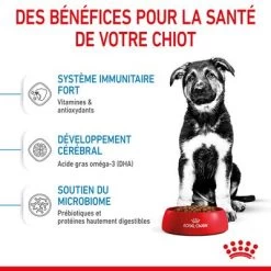 Royal Canin Maxi Puppy Pour Chiot -Pet Care Soldes rc spt dry maxipuppy cv 3 fr fr 2