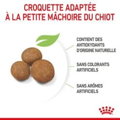 Royal Canin Maxi Puppy Pour Chiot -Pet Care Soldes rc spt dry maxipuppy cv 4 fr fr 9