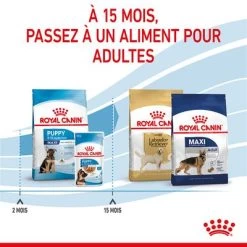 Royal Canin Maxi Puppy Pour Chiot -Pet Care Soldes rc spt dry maxipuppy cv 5 fr fr 1