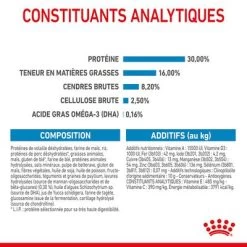 Royal Canin Maxi Puppy Pour Chiot -Pet Care Soldes rc spt dry maxipuppy cv 6 fr fr 8