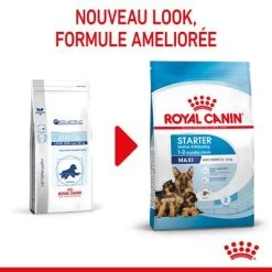 Royal Maxi Starter Mother & Babydog Pour Chien -Pet Care Soldes rc spt dry maxistart cv 1 2 fr fr 0