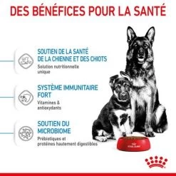 Royal Maxi Starter Mother & Babydog Pour Chien -Pet Care Soldes rc spt dry maxistart cv 3 fr fr 7