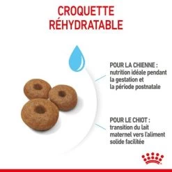 Royal Maxi Starter Mother & Babydog Pour Chien -Pet Care Soldes rc spt dry maxistart cv 4 fr fr 6