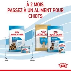 Royal Maxi Starter Mother & Babydog Pour Chien -Pet Care Soldes rc spt dry maxistart cv 5 fr fr 1