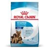 Royal Maxi Starter Mother & Babydog Pour Chien -Pet Care Soldes rc spt dry maxistart mv 2 de de 9 1