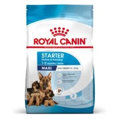 Royal Maxi Starter Mother & Babydog Pour Chien