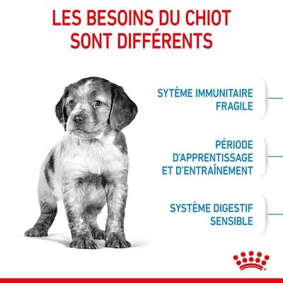 Royal Canin Medium Puppy Pour Chien 6 Royal Canin Medium Puppy Pour Chien – Image 4